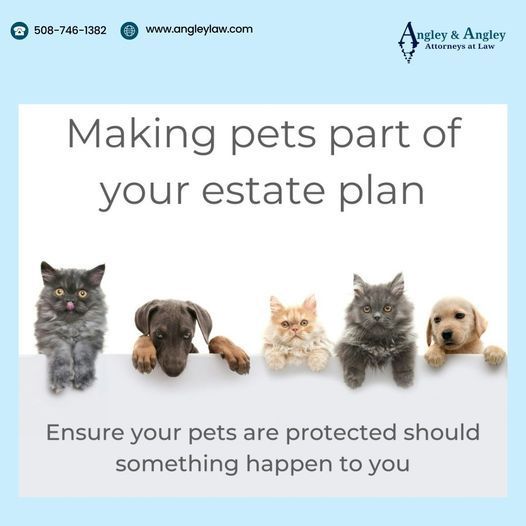 Estate Planning for Pets.