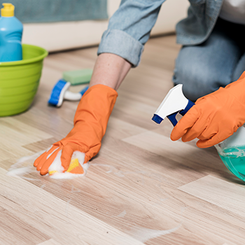 House Cleaning services