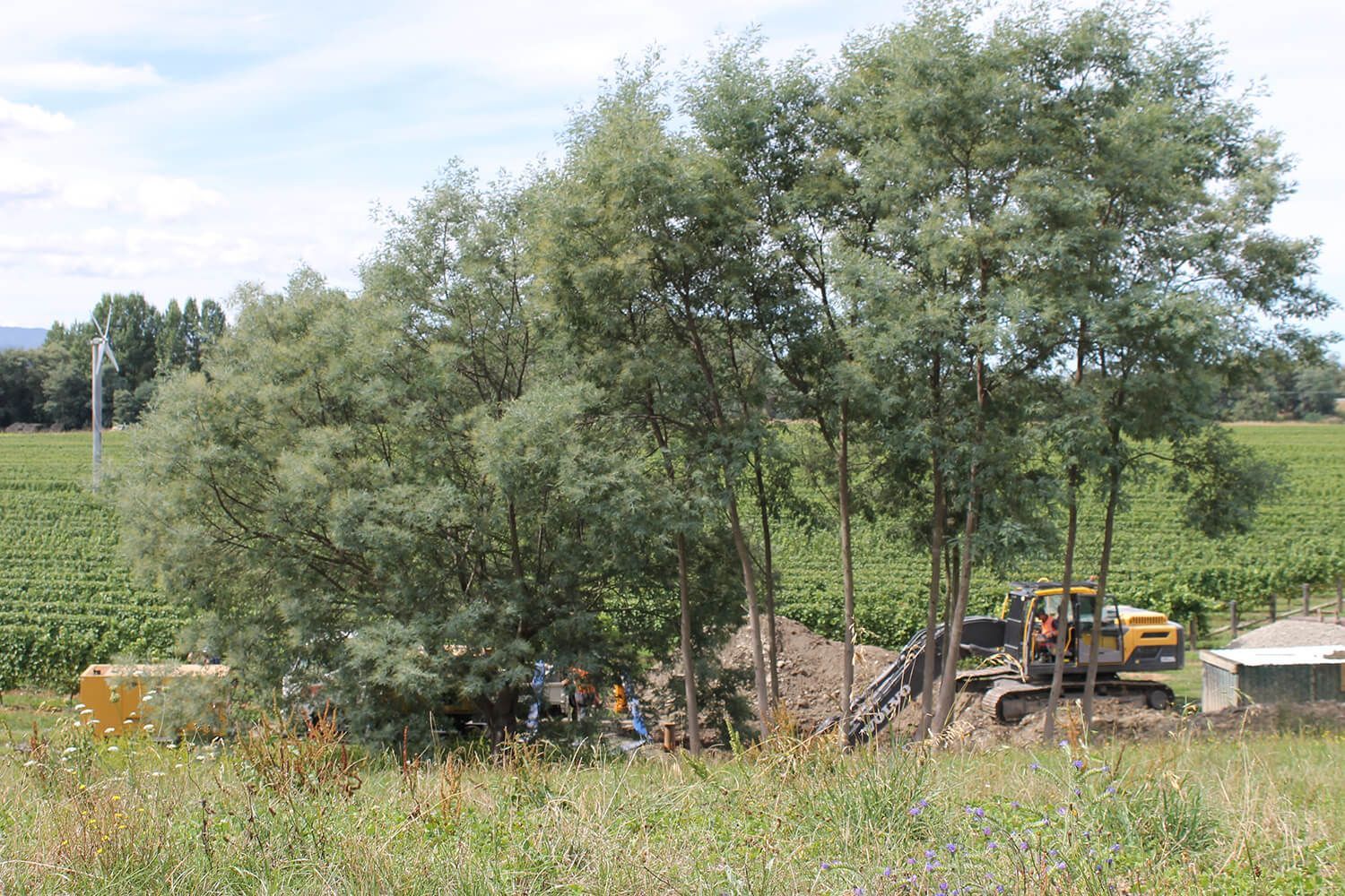 Water Wells Drilled by Butt Drilling in Blenheim, Marlborough, New Zealand
