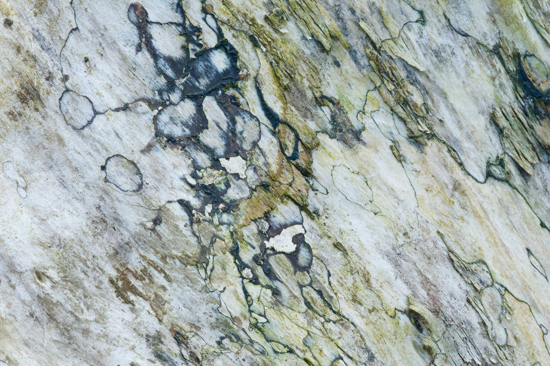 Full-Service Kitchen Quartz Countertop Installation and Design in  Vancouver, BC