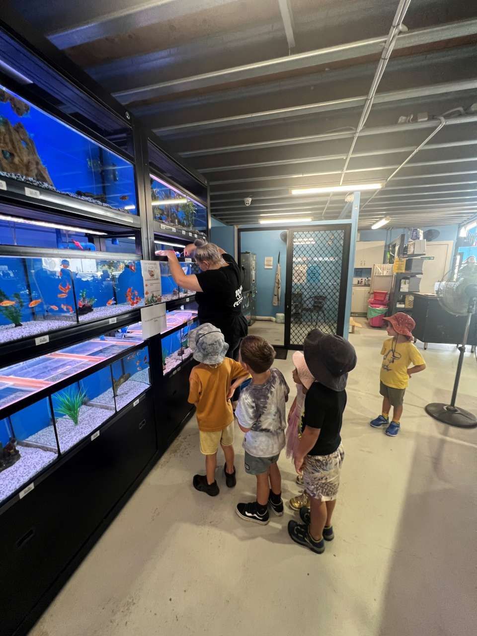 A group of children are looking at fish tanks in an aquarium.