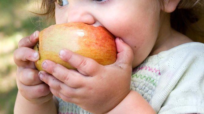 Toddler Nutrition Group (For Ages 1-3)