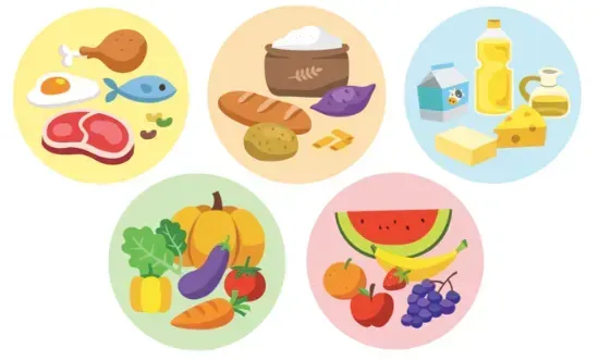 5 food groups | Growlife Medical