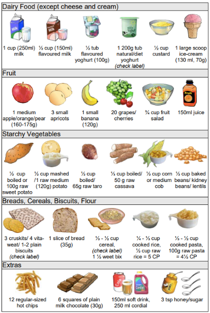 Portion control for Diabetes | Growlife Medical