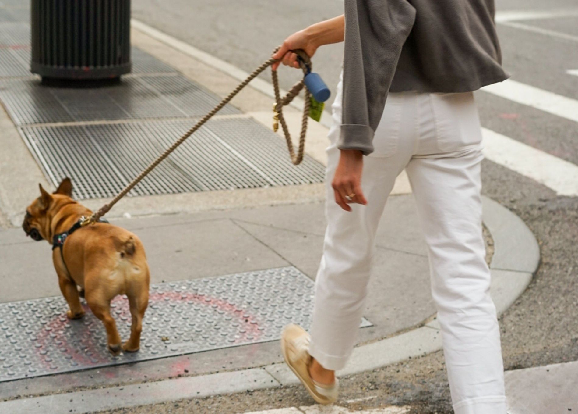 Diet Weight Loss Exercise Walking Dog | Growlife Medical