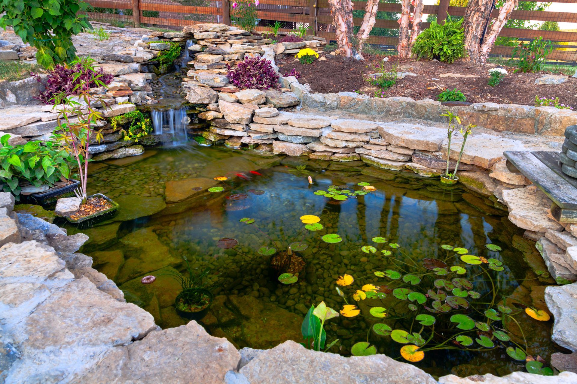 Small pond aquascaping project