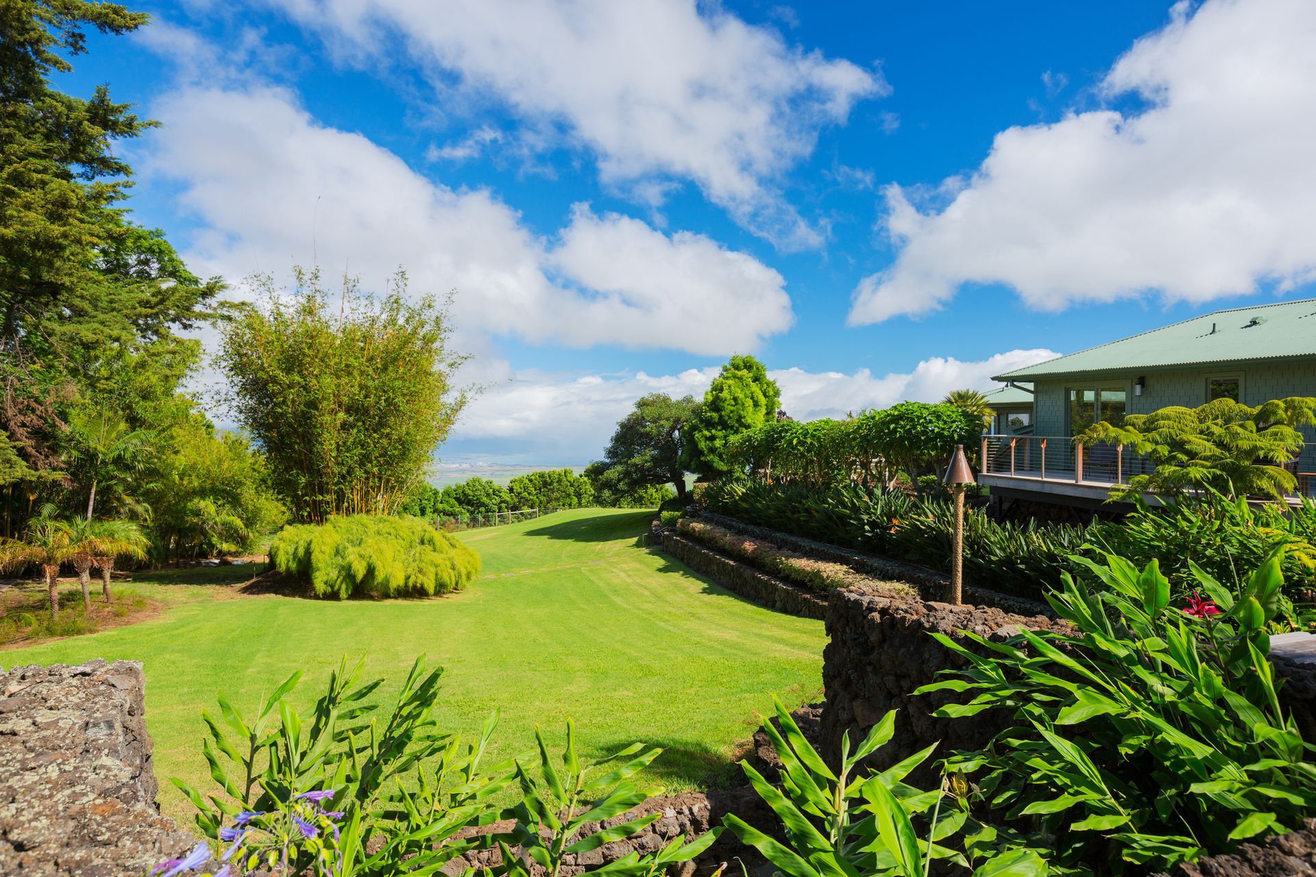 Wide-view of a satisfied customers lawn after fresh cutting and shrub installation