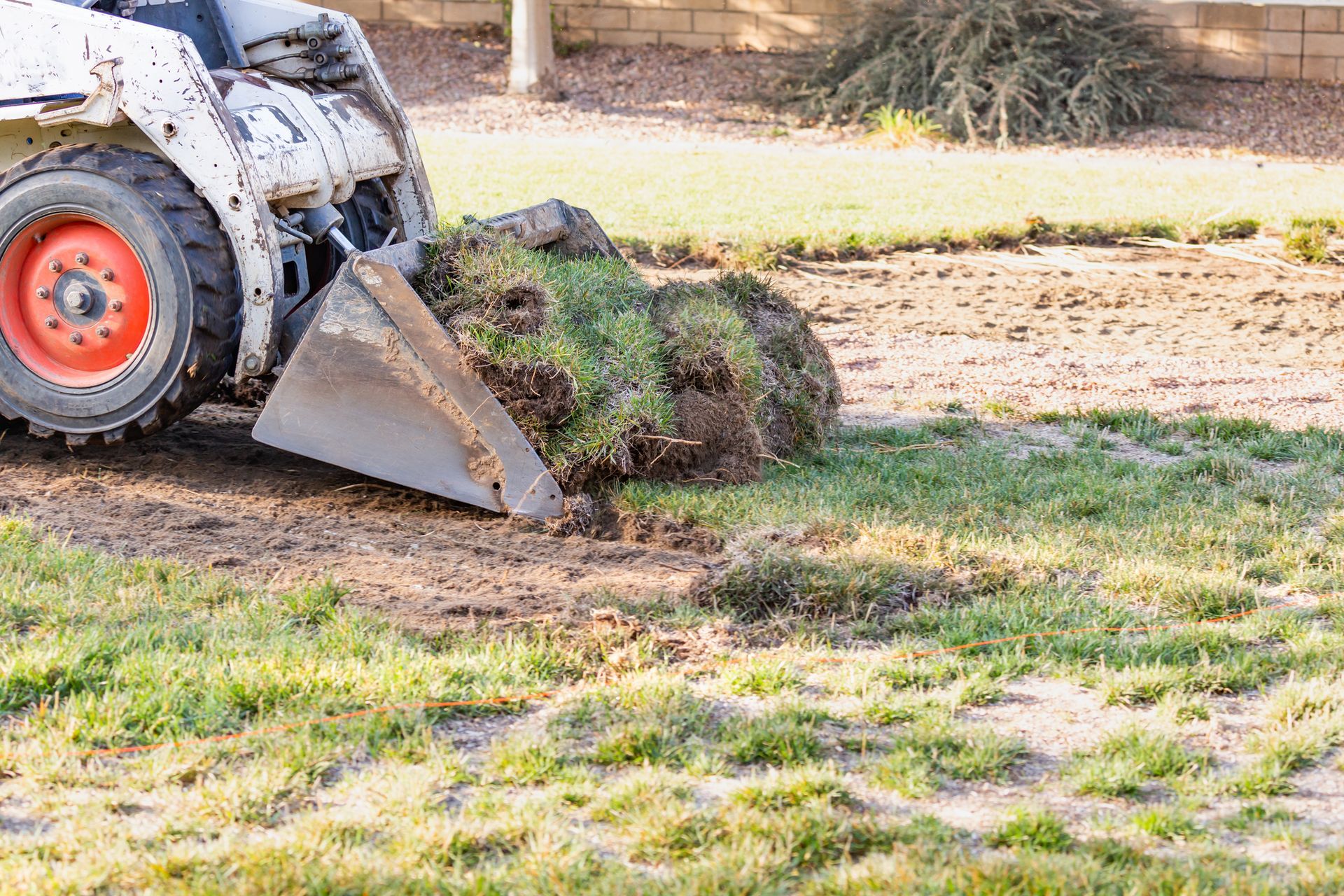 machine removing damaged lawn in order to provide fresh sod