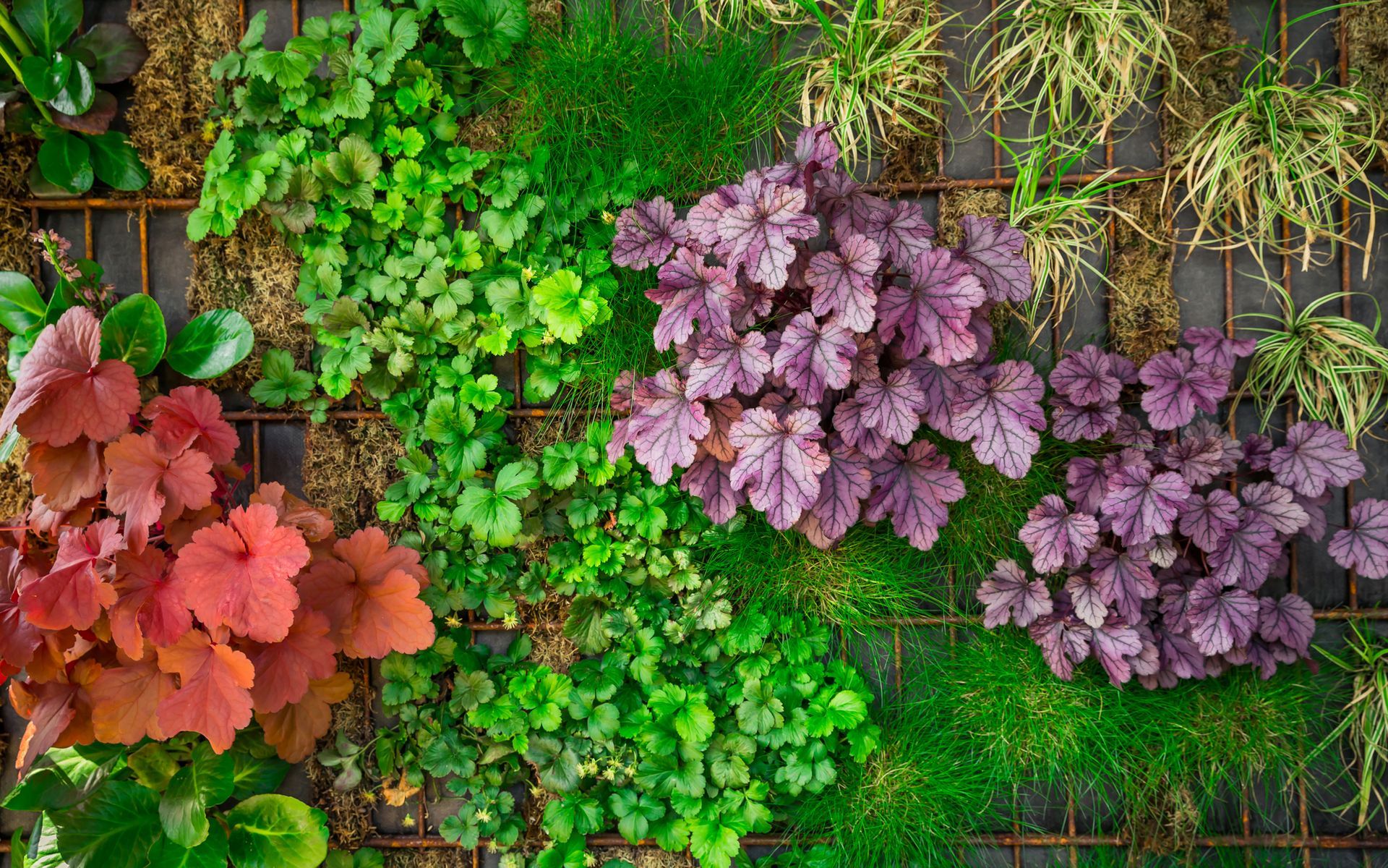 Wall garden at business in Homestead