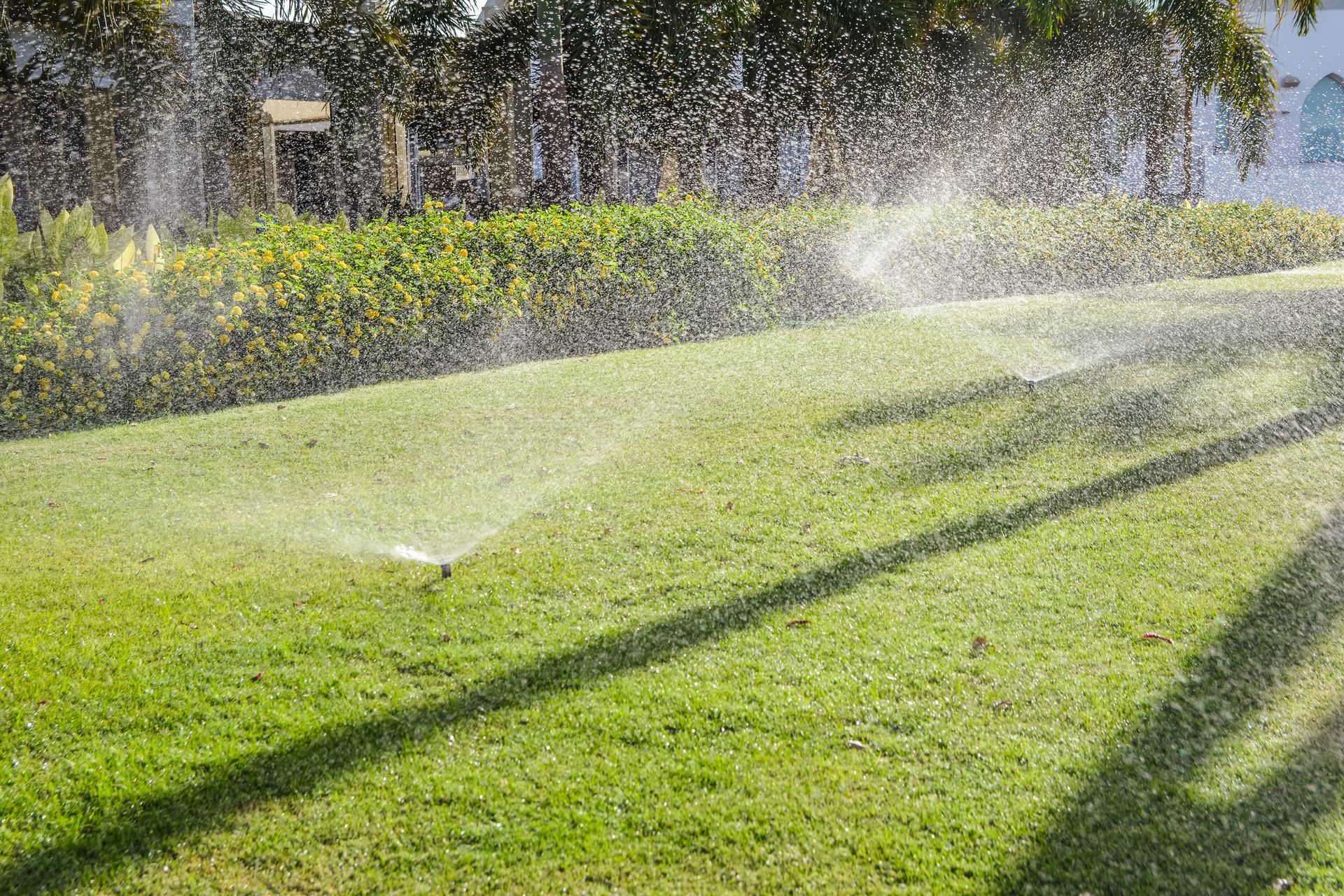 Backyard with our advanced sprinkler/irrigation system in action