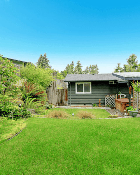 a fenced in backyard with pet-safe plants and healthy green grass