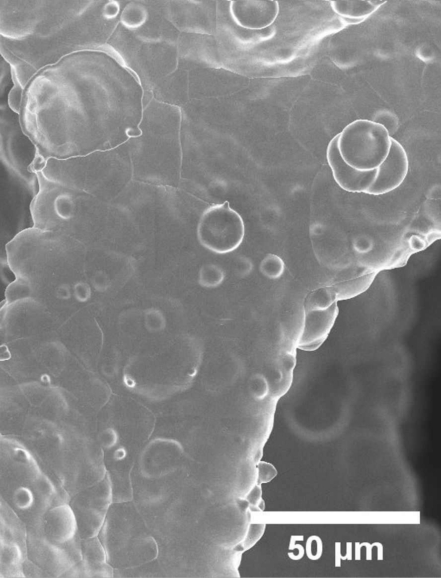 A black and white image of bubbles with a white line that says 50 μm