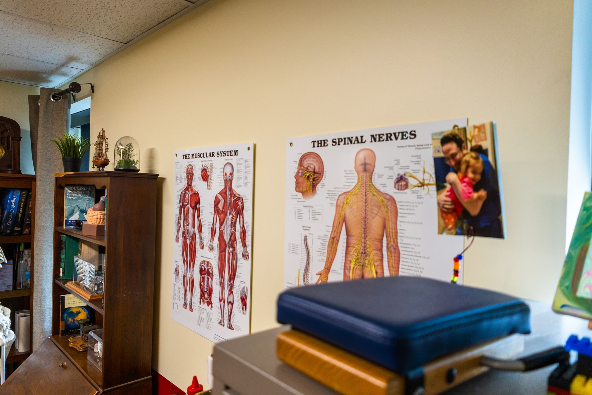 Chiropractor's office: anatomical posters, bookshelf, electronic device, and a family photo.