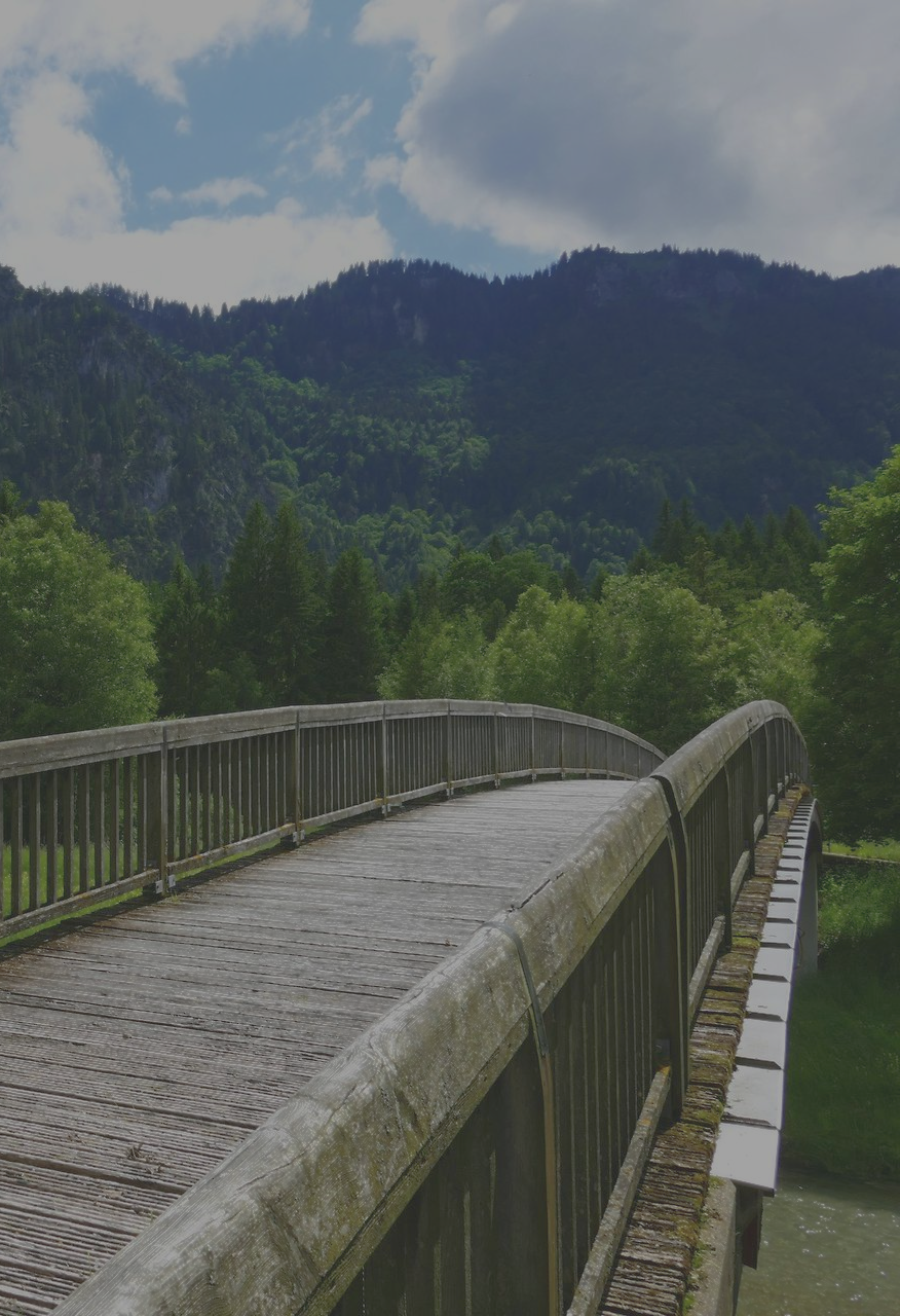 Wooden bridge over water with mountain and trees in background.