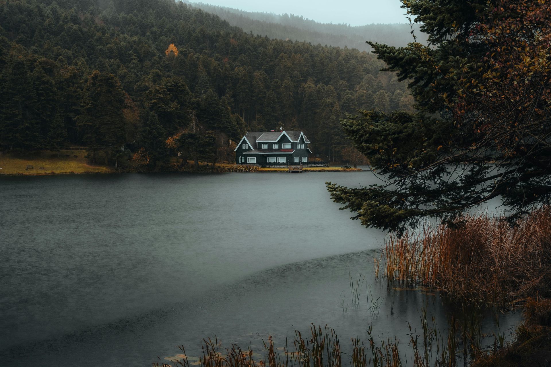 Lakeside house nestled in dark forest. Dark waters and moody, overcast sky.