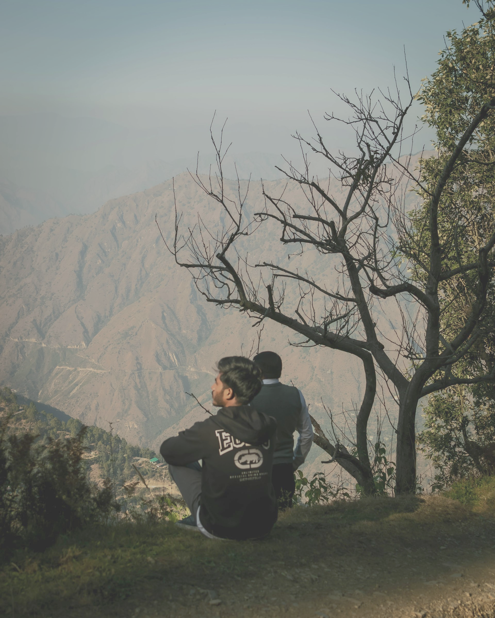 Two people sitting, overlooking mountains and a bare tree.
