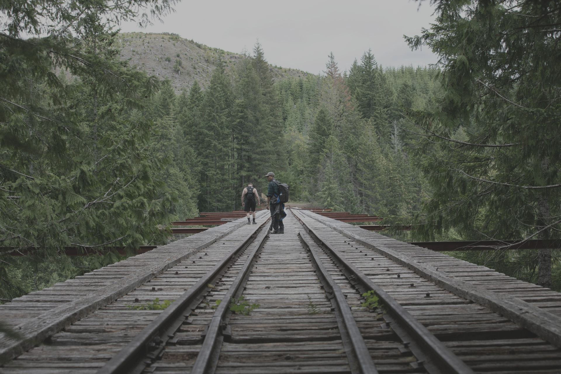 People walking along a wooden railroad bridge through a forest. Overcast day.