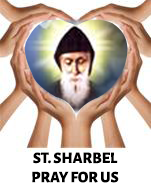 St. Sharbel Pray For Us