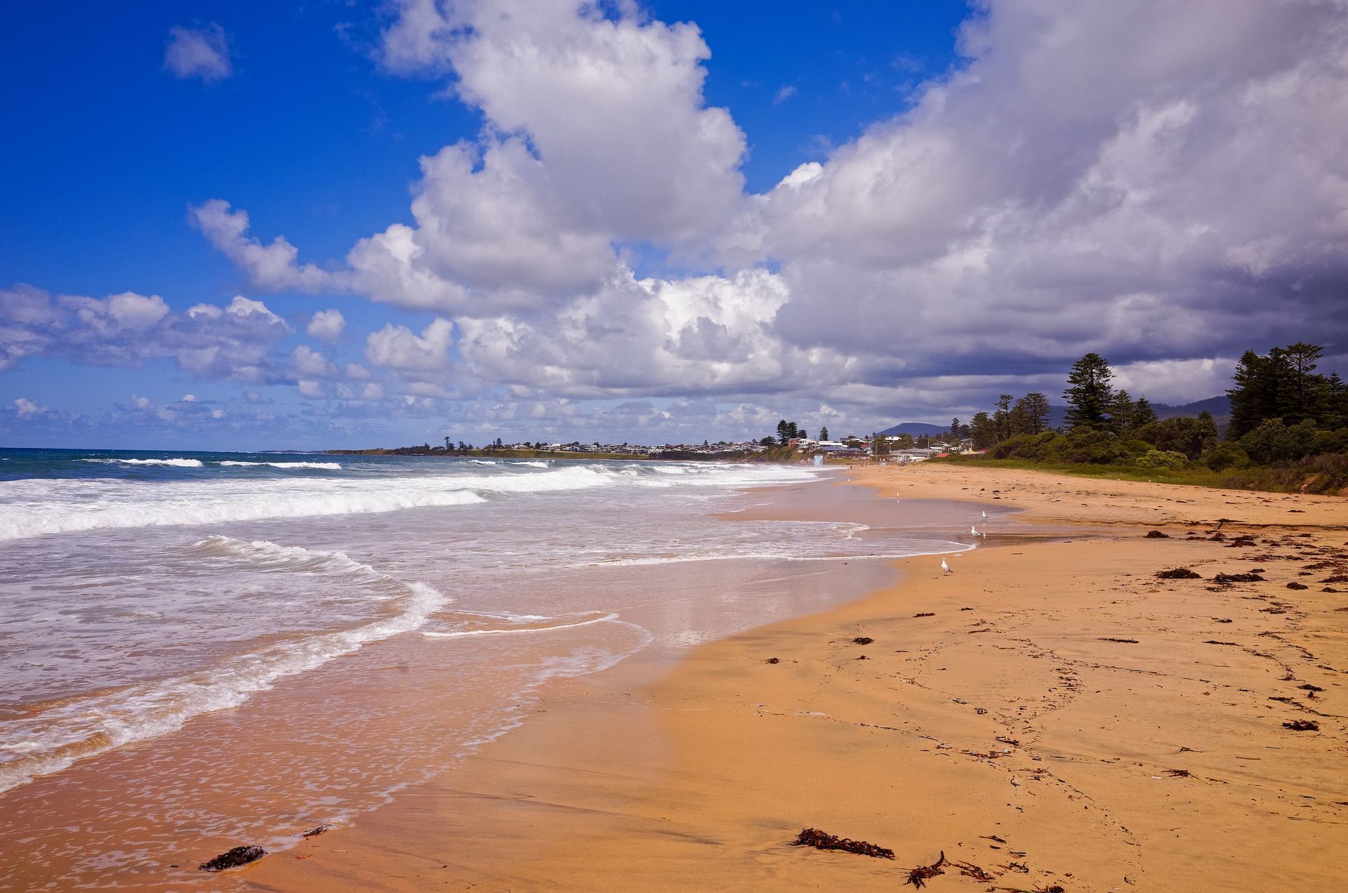 Beach Scene with Blue Sky White Clouds  and Ocean Waves — Burnett Trees in Thirroul, NSW