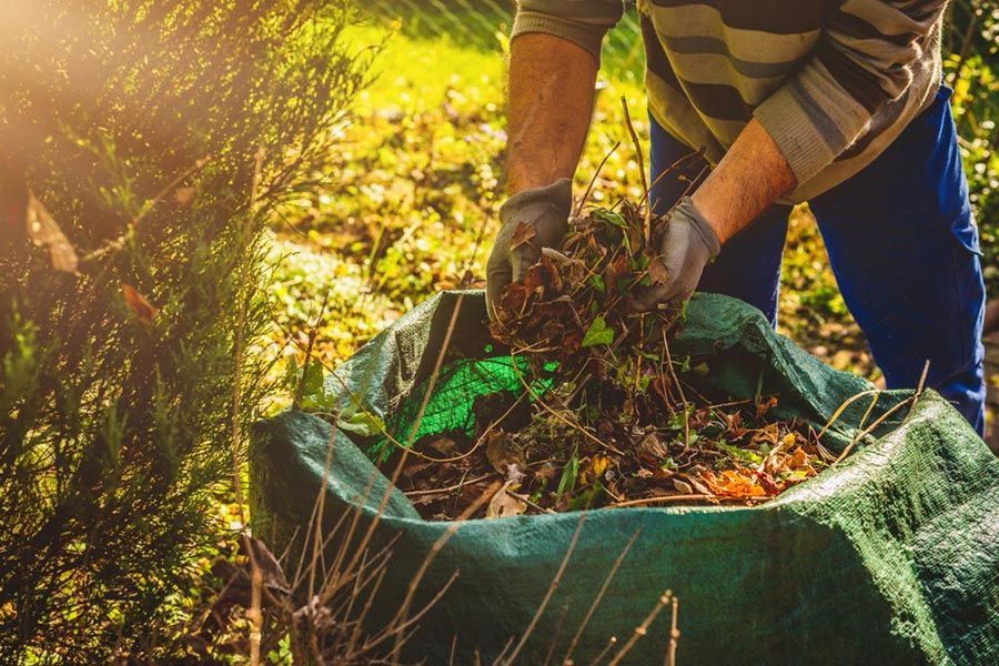 A Man Is Throwing Leaves Into a Bag — Burnett Trees in Wollongong, NSW