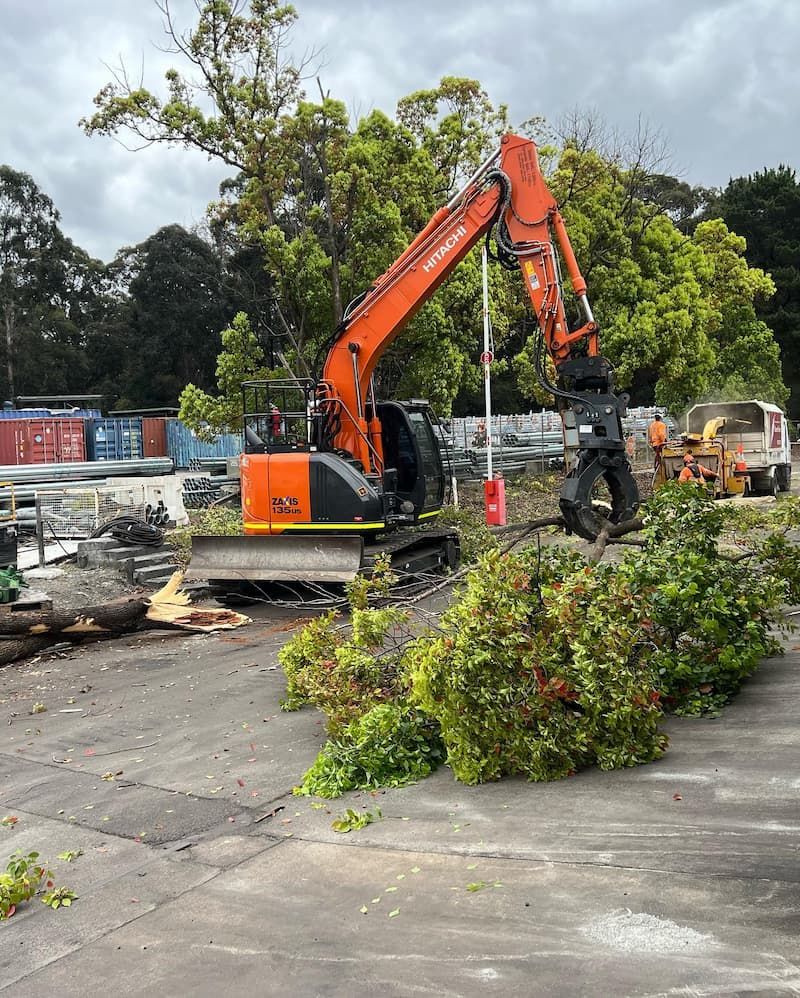 A Large Orange Excavator Is Cutting Down Trees in A Parking Lot — Burnett Trees in Oak Flats, NSW