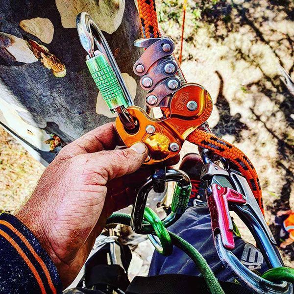 A Person Is Holding a Climbing Gear in Their Hand — Burnett Trees in Kiama, NSW