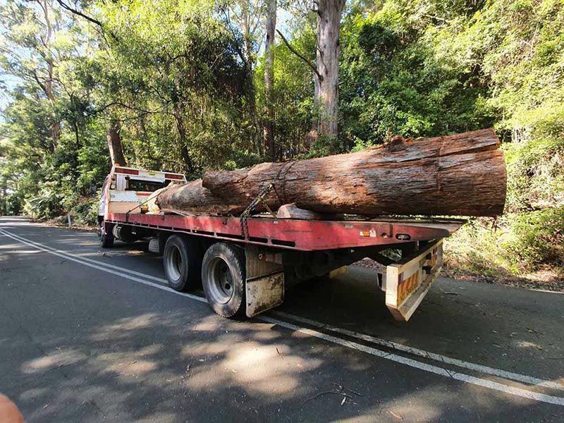 A Red Truck Is Carrying a Large Log Down a Road — Burnett Trees in Kiama, NSW