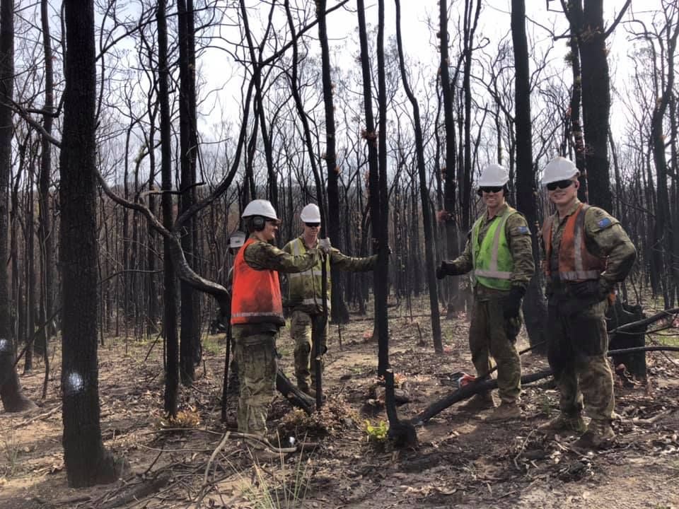 Four People in Hard Hats and Vests in A Burned Forest — Burnett Trees in Mount Pleasant, NSW