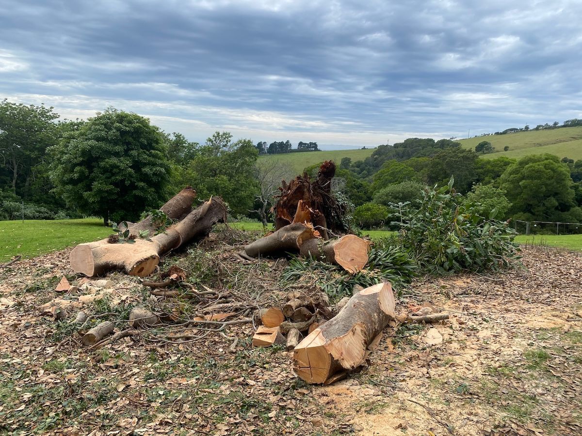 A pile of wood is sitting in the middle of a dirt field - Burnett Trees in Kiama, NSW
