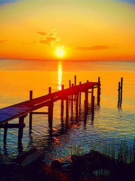 A Dock Overlooking a Body of Water at Sunset — Burnett Trees in Dapto, NSW