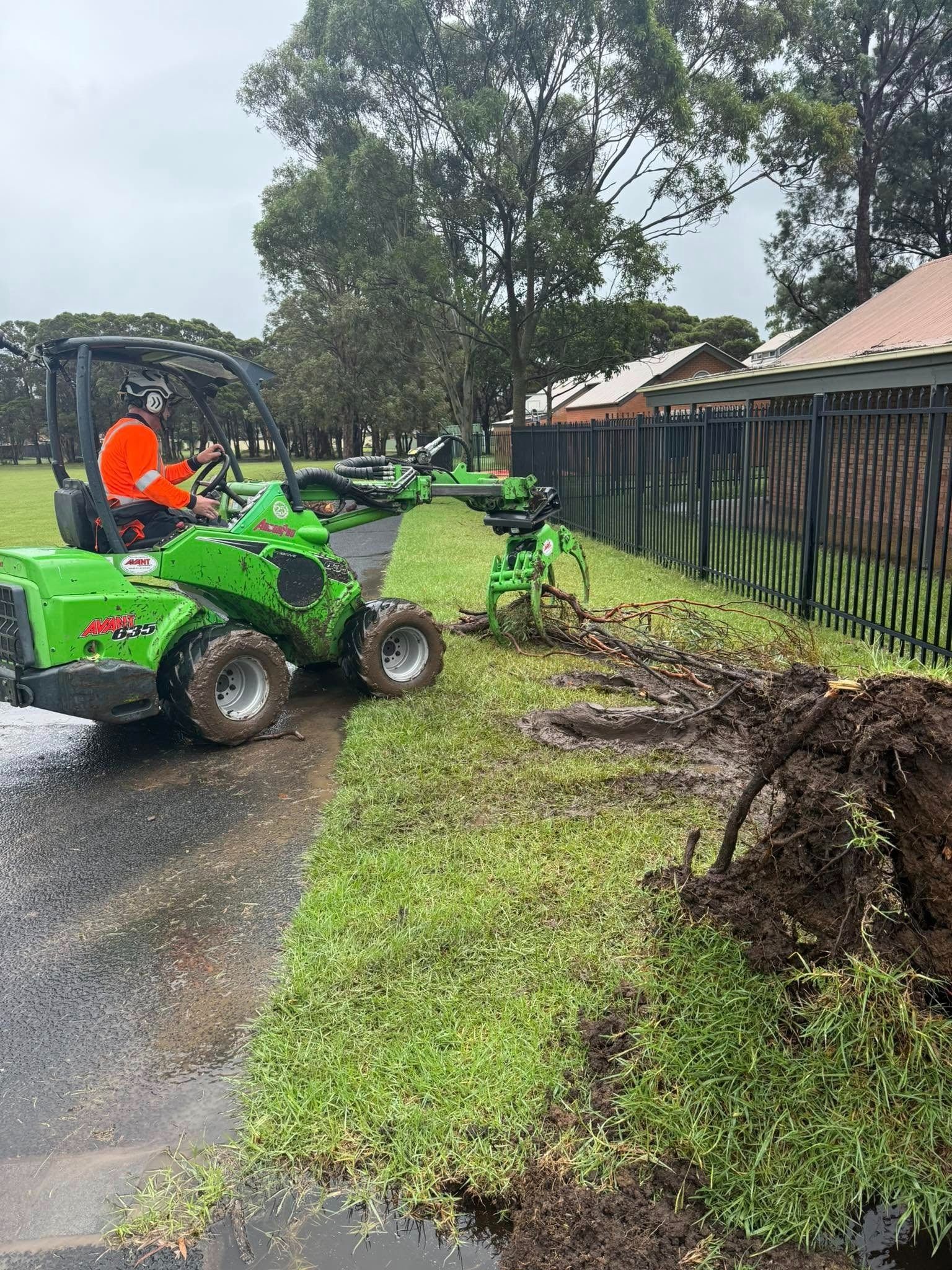 Mini Excavator Doing Tree Removal