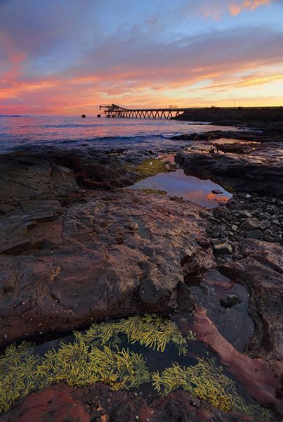 A Person Is Standing on A Rocky Beach Near the Ocean at Sunset — Burnett Trees in Shellharbour, NSW
