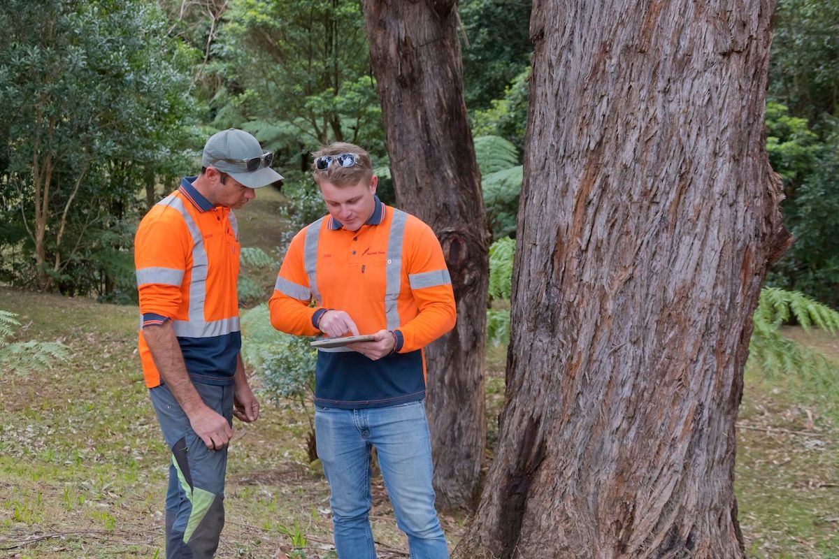 A Yellow Tractor Is Driving Through a Dirt Field — Burnett Trees in Kiama, NSW