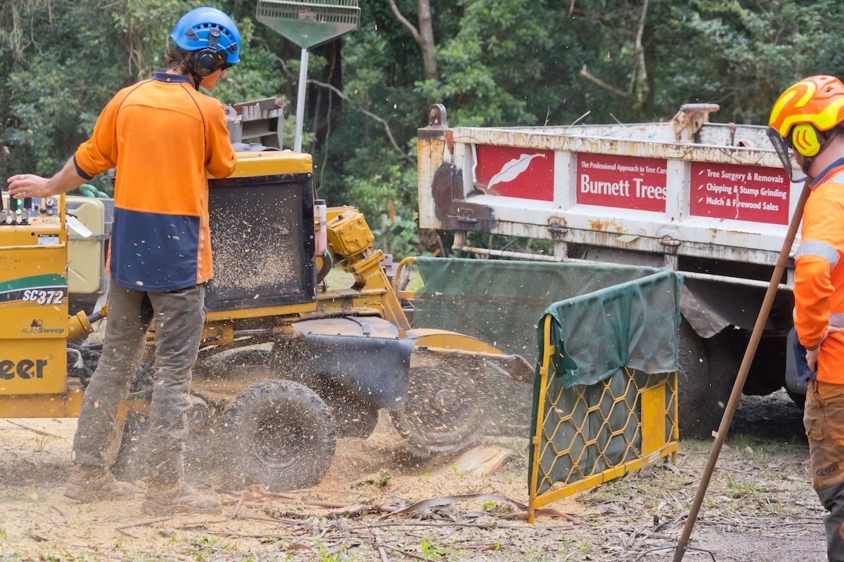 A Man Standing Next To A Stump Grinding Machine — Burnett Trees in Kiama, NSW
