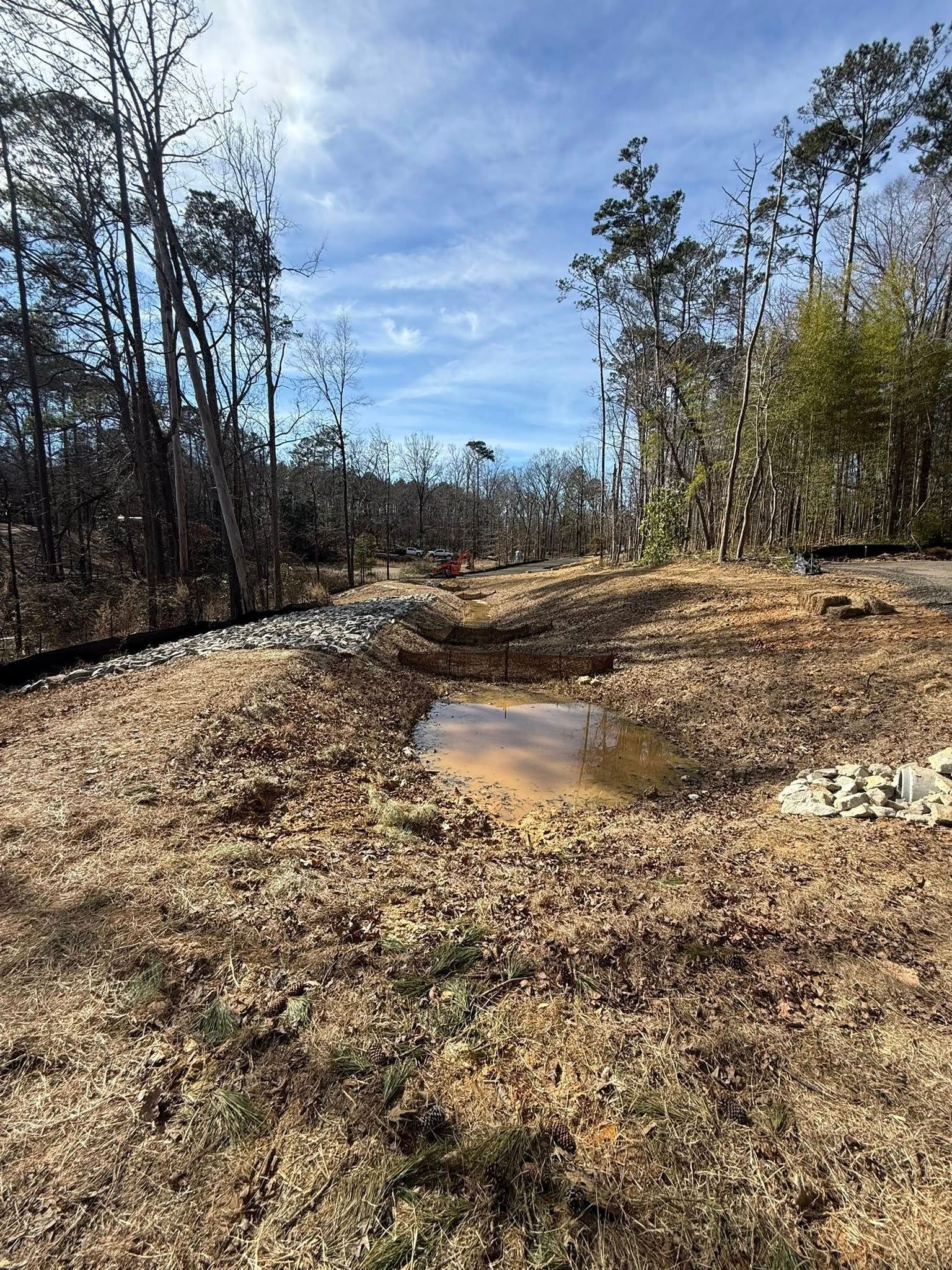 Muddy forest clearing with a small puddle under a blue sky and leafless trees