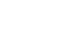 Mostly blank white image with a thin black-and-gray line along the bottom edge