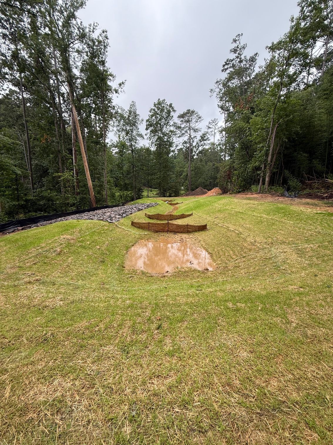 Grassy park with two large rocks and a line of trees under an overcast sky