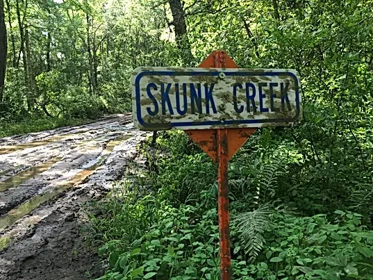 A sign in the middle of a muddy road in the woods.