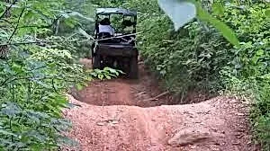 A person is riding a atv on a dirt road in the woods.