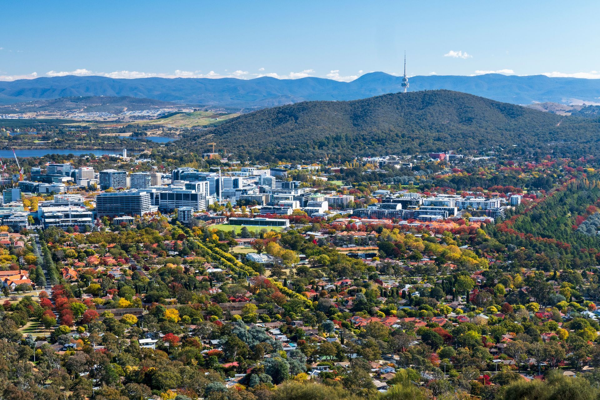 Cityscape of Canberra, Australia, with buildings, trees, mountains, and the Telstra Tower under a blue sky.