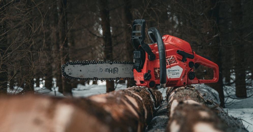 A chainsaw is cutting a log in the woods.