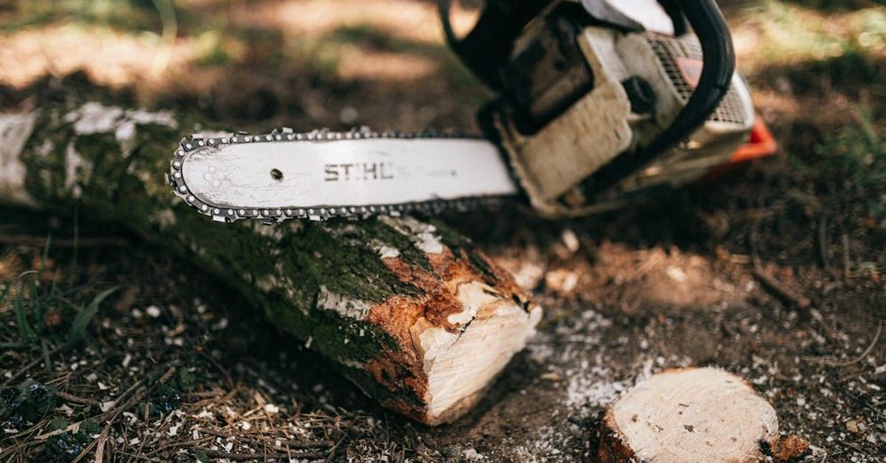 A chainsaw is cutting a piece of wood on the ground.