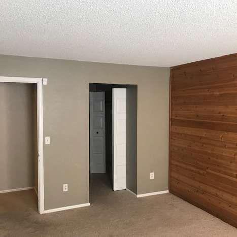 Room interior with beige walls, door frames, and carpet; a wooden accent wall.