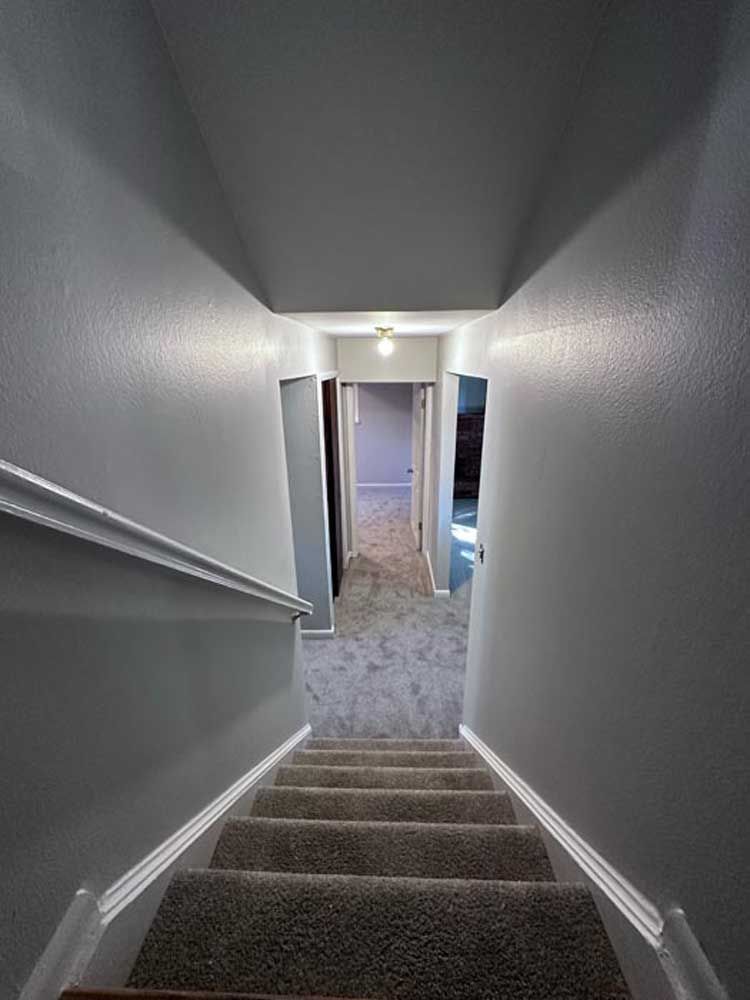View down a carpeted staircase to hallway with grey walls.