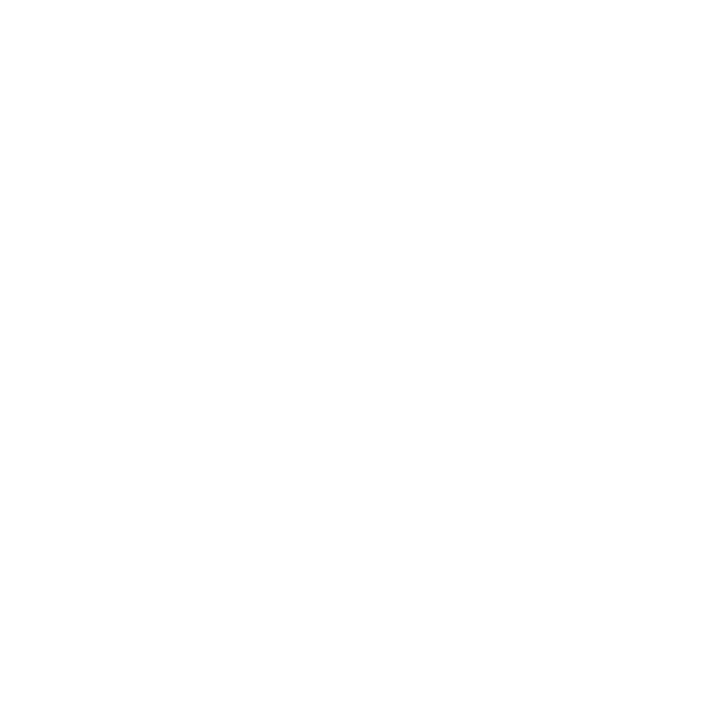 Blank white image