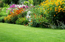 lawn with garden furniture