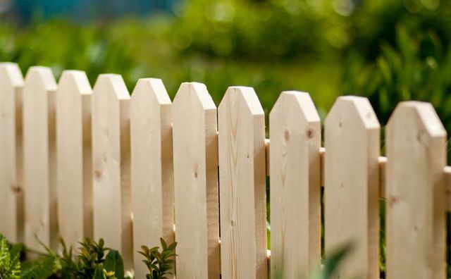 wooden fencing