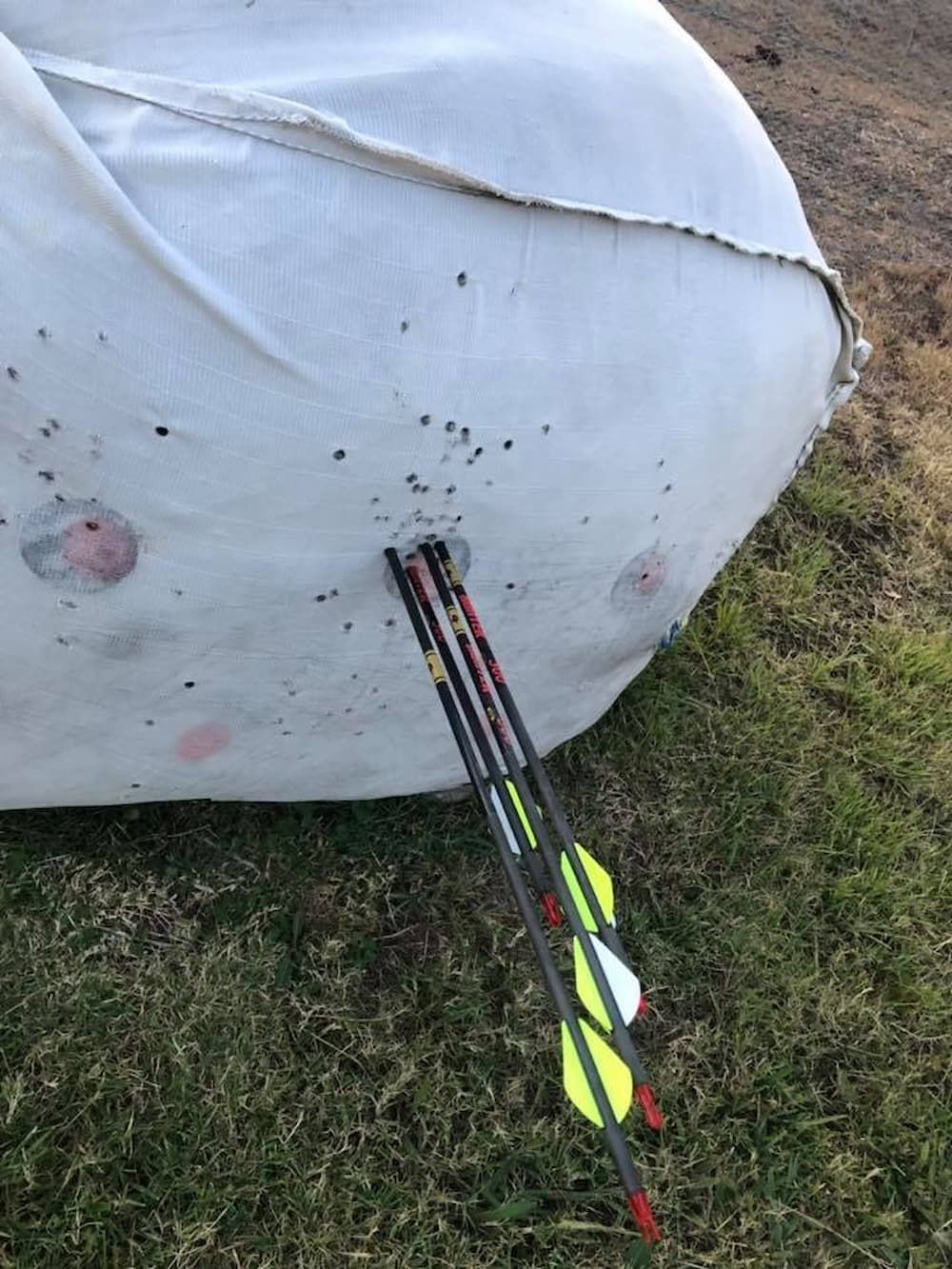Three Arrows Are Stuck In A Hole In A Target — Posties Caravans Boats Small Engines Inverell In Inverell, NSW