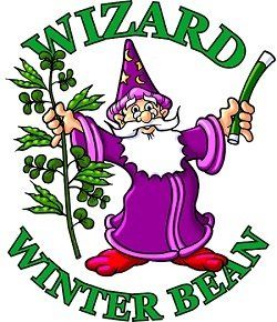 Wizard Winter Bean