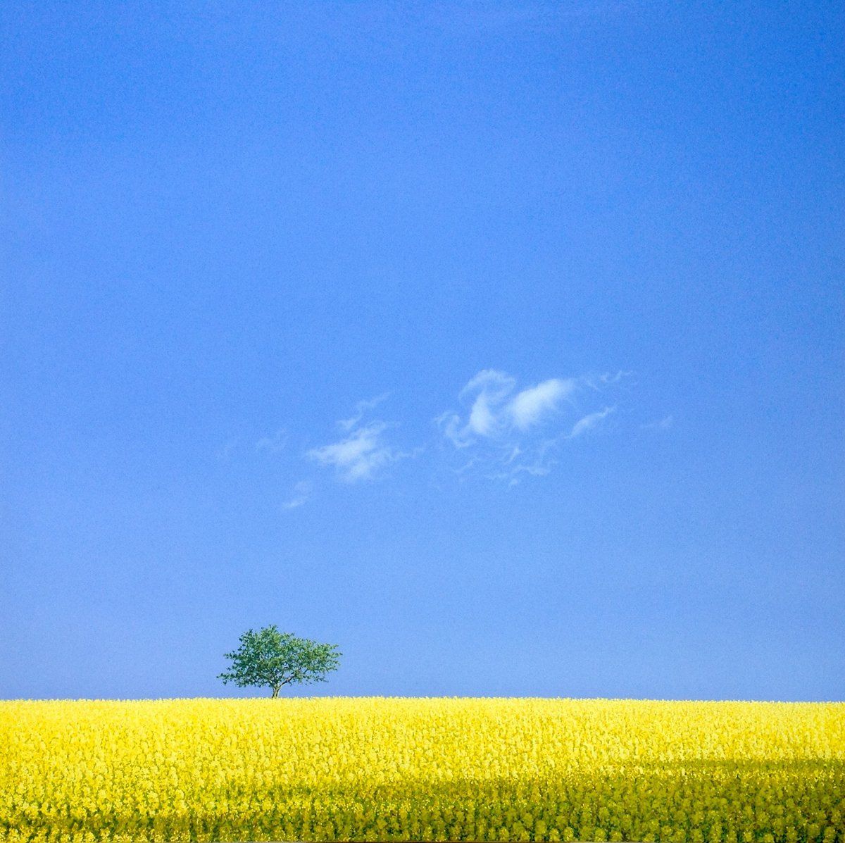 Yellow, Green, Blue